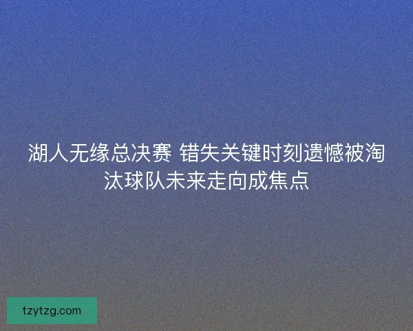 湖人无缘总决赛 错失关键时刻遗憾被淘汰球队未来走向成焦点
