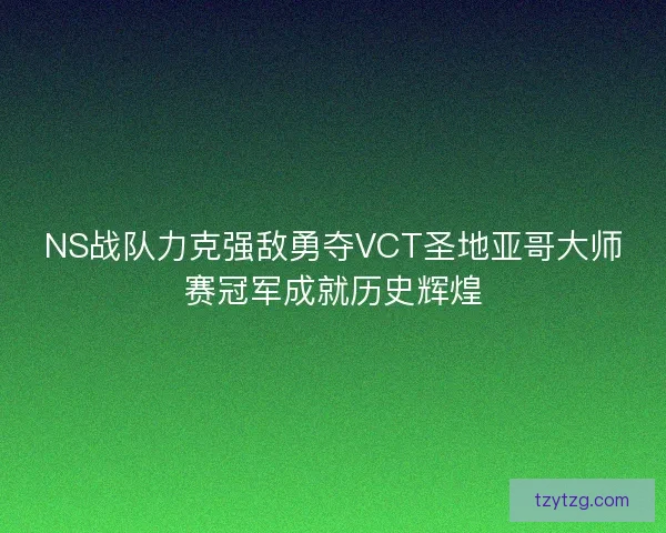 NS战队力克强敌勇夺VCT圣地亚哥大师赛冠军成就历史辉煌