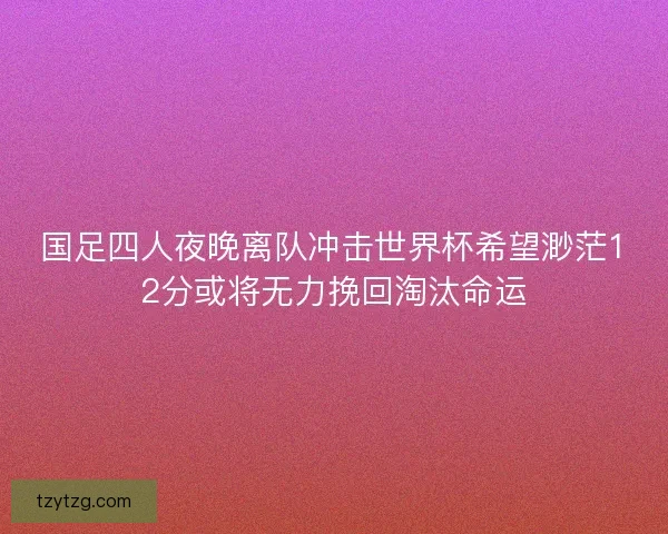 国足四人夜晚离队冲击世界杯希望渺茫12分或将无力挽回淘汰命运 国足四人夜晚离队冲击世界杯希望渺茫12分或将无力挽回淘汰命运
