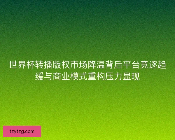 世界杯转播版权市场降温背后平台竞逐趋缓与商业模式重构压力显现
