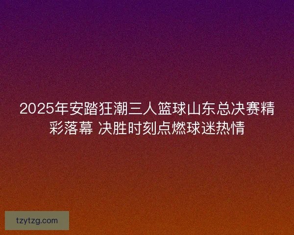 2025年安踏狂潮三人篮球山东总决赛精彩落幕 决胜时刻点燃球迷热情
